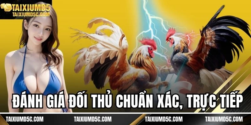 Đánh giá đối thủ chuẩn xác, trực tiếp